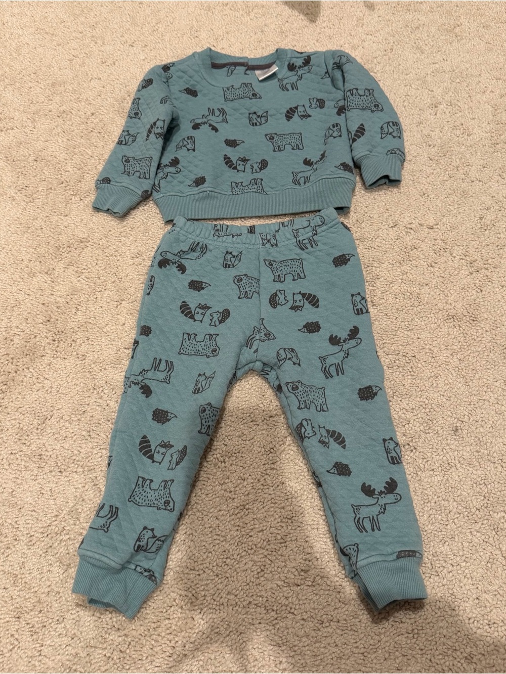Koala Kids Forest Animals Sweatshirt & Joggers Set 18M Gently Used